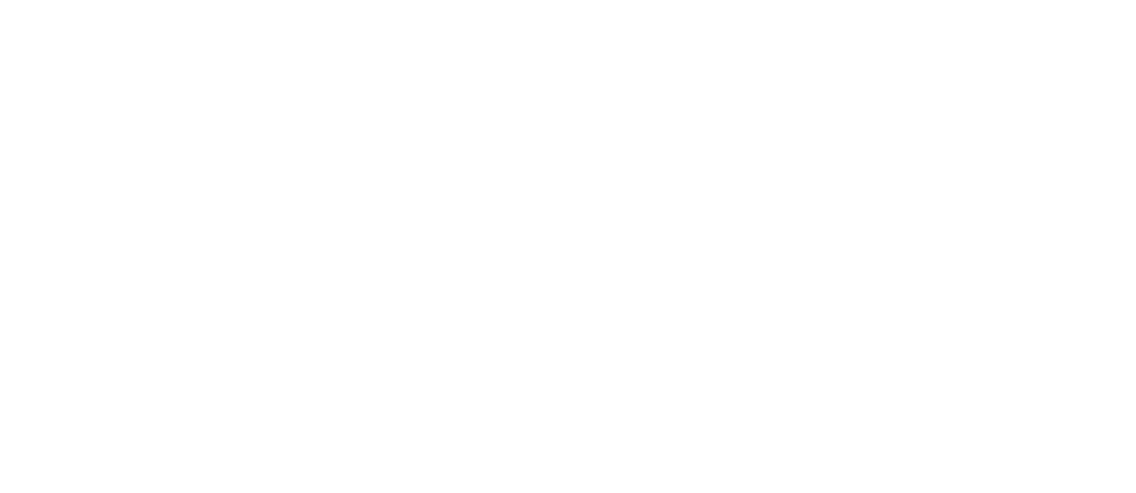 partner logo česká spřitelna nadace